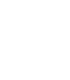 Fusion Falcons